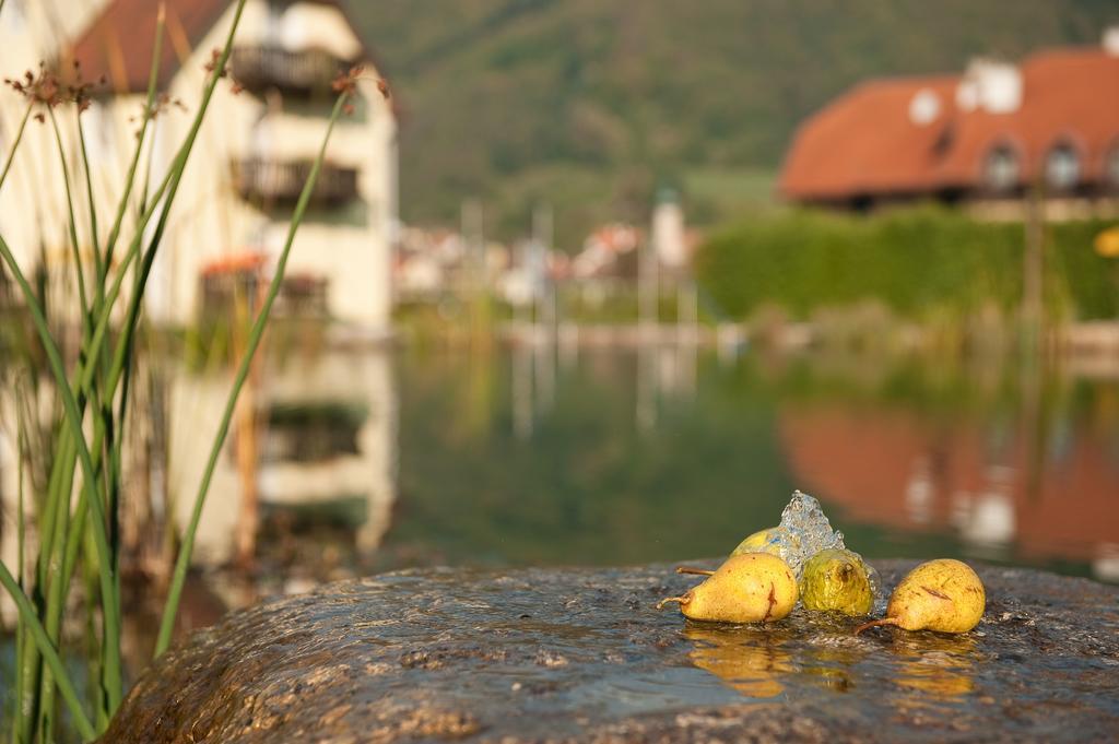 Romantikhotel Residenz Wachau Aggsbach Екстериор снимка